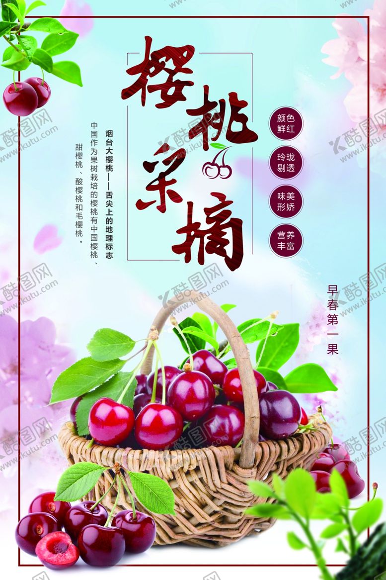 编号：56622410130611336277【酷图网】源文件下载-樱桃采摘