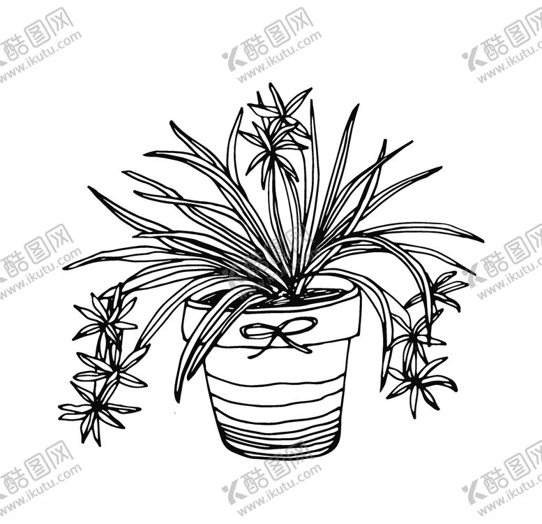 编号：87673110070057432556【酷图网】源文件下载-植物线稿
