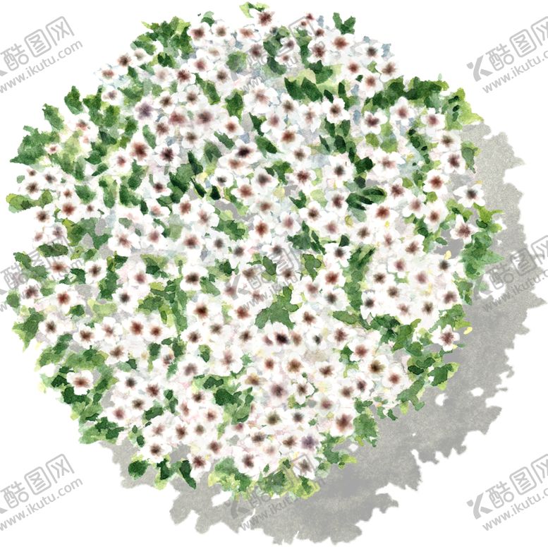 编号：99780604282228591131【酷图网】源文件下载-手绘植物