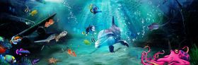 海底世界