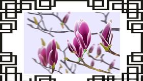 装饰矢量画