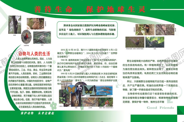 编号：65784110041353363271【酷图网】源文件下载-保护动物