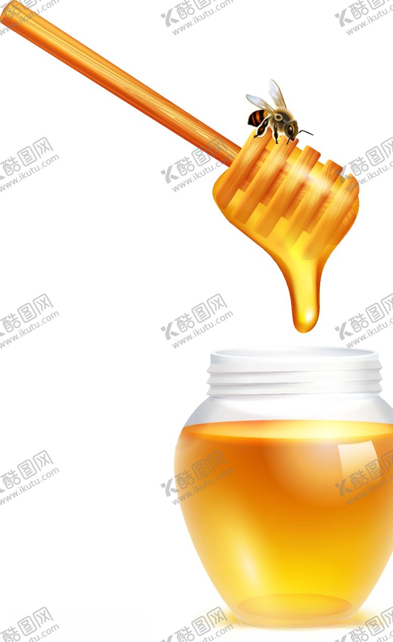 编号：73626306240404509906【酷图网】源文件下载-蜜蜂