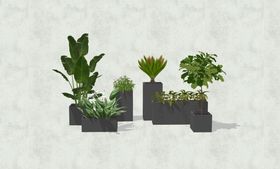 植物相框3d模型