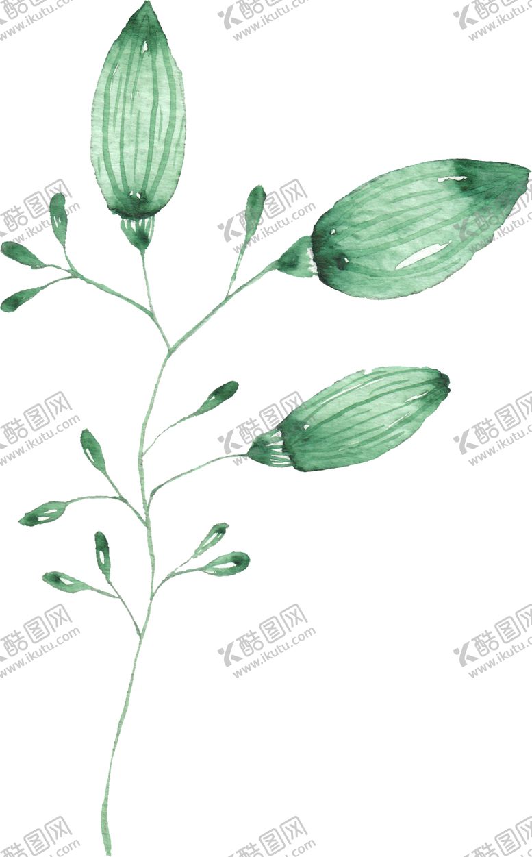 编号：33092107050716281451【酷图网】源文件下载-海报元素花草元素展架元素