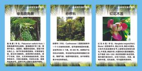 珍稀野生保护动物
