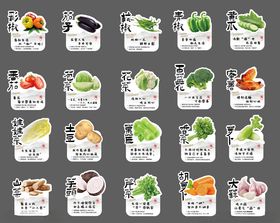 多样新鲜蔬菜图标集合