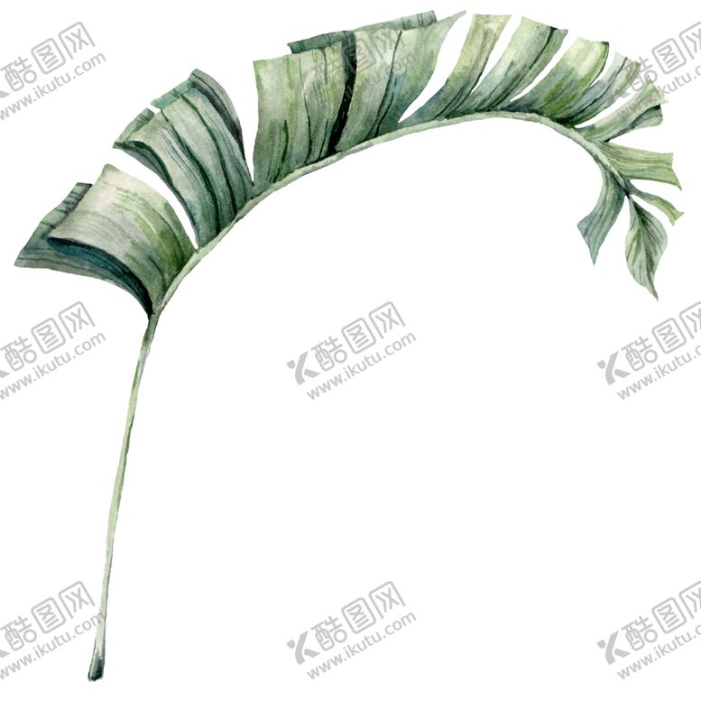 编号：78694309182204095792【酷图网】源文件下载-植物花朵装饰图案