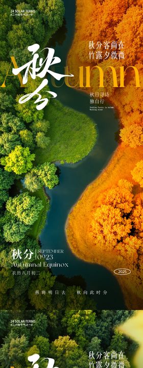 秋分节气海报