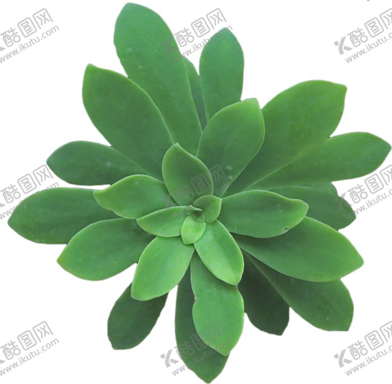 编号：60564909190126547416【酷图网】源文件下载-绿色相框