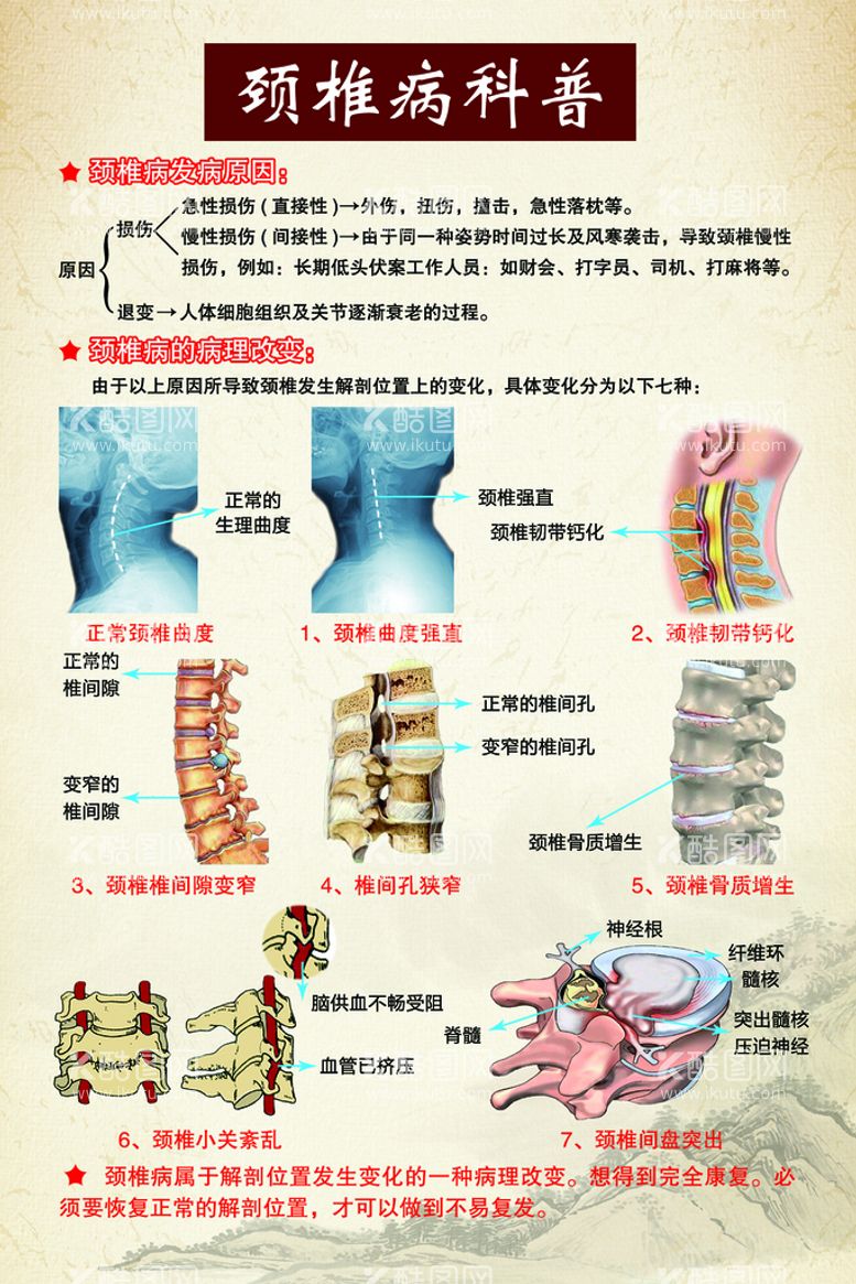 编号：08642109230644031378【酷图网】源文件下载-颈椎病知识科普