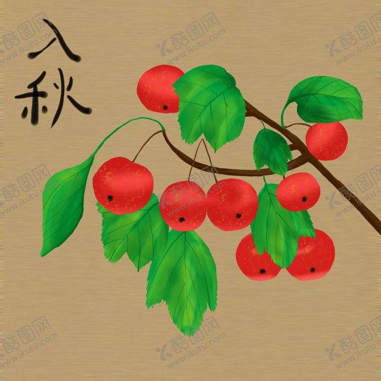 编号：34541802192242009782【酷图网】源文件下载-入秋山楂