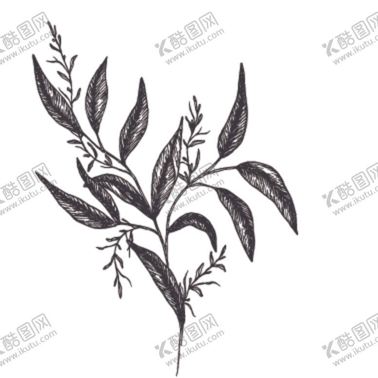 编号：22873710242342477323【酷图网】源文件下载-简笔绘画植物花朵图谱