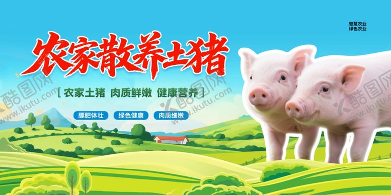 编号：95499004212003494611【酷图网】源文件下载-农家土猪