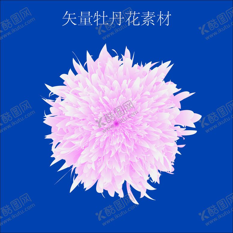 编号：81392211071231054491【酷图网】源文件下载-牡丹花