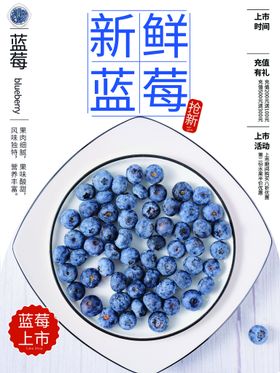 蓝莓绿叶新鲜