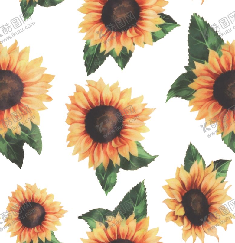 编号：62648710021658293786【酷图网】源文件下载-向日葵
