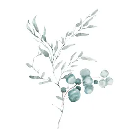 小清新水彩植物树枝