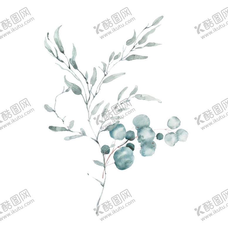编号：84282011011658517291【酷图网】源文件下载-小清新水彩植物树枝
