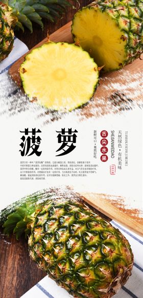 菠萝美食海报
