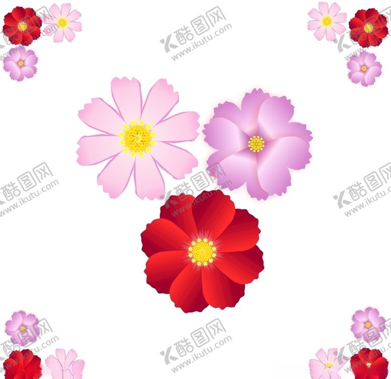 编号：17770406270941563261【酷图网】源文件下载-野花