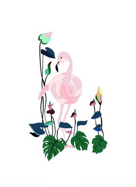 花鸟组合