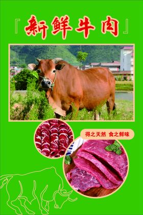 牛肉烤肉新鲜佳肴