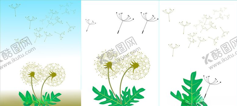 编号：18961209142355177850【酷图网】源文件下载-蒲公英叶子飞舞的蒲公英