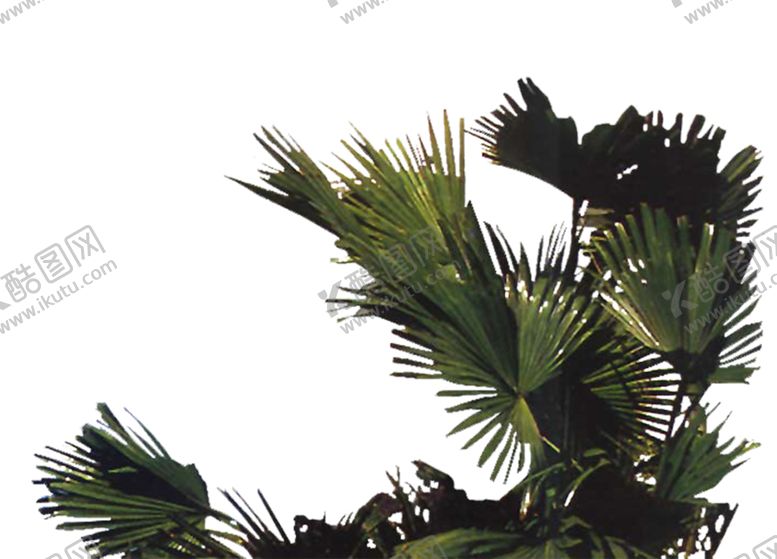 编号：58740010260732367299【酷图网】源文件下载-绿色相框