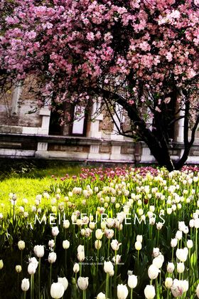 世界各地风景图片