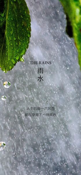 清新蓝色雨水谷雨节气摄影活动