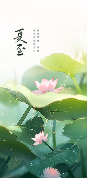 创意简约夏至海报