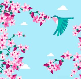 樱花