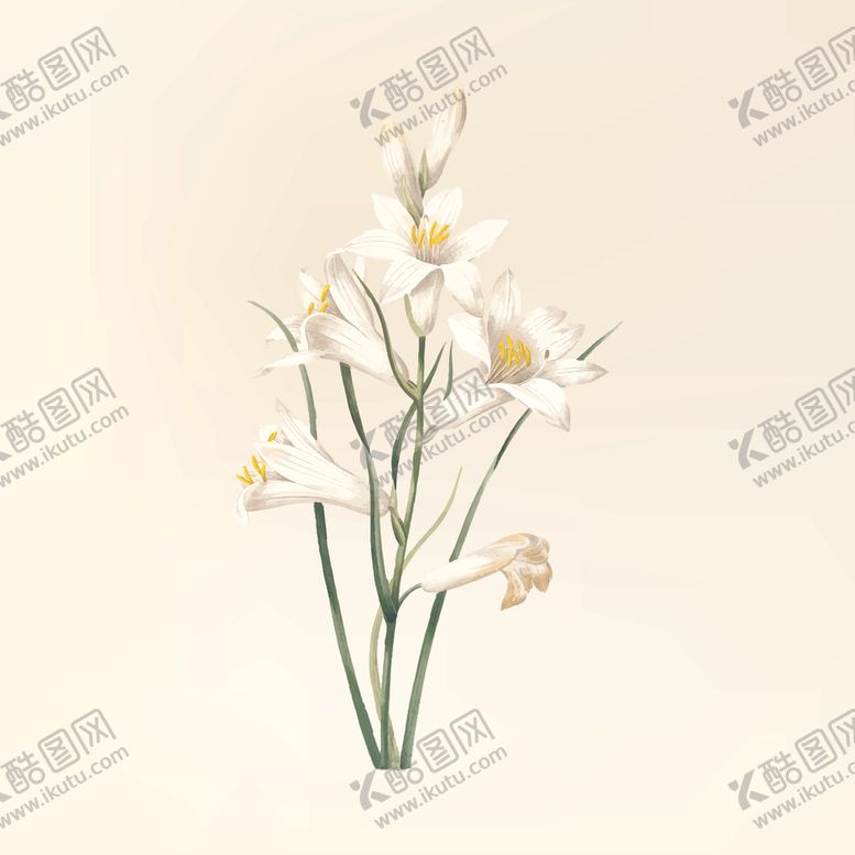 编号：40316810221953047567【酷图网】源文件下载-花纹