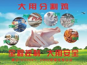 大用分割鸡