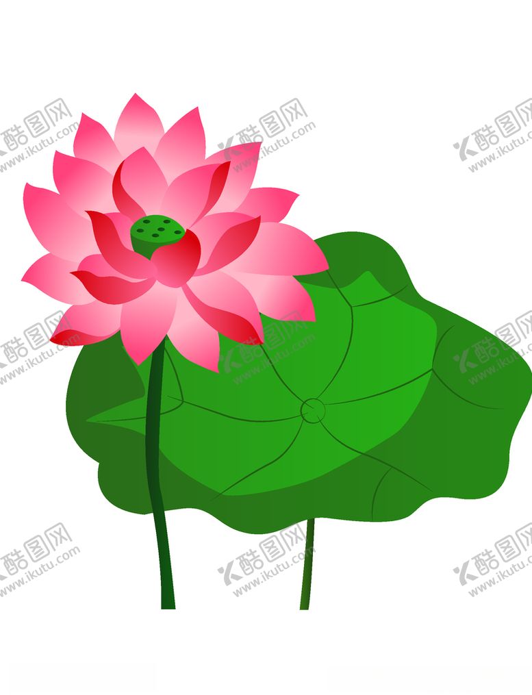 编号：16977405020151143028【酷图网】源文件下载-矢量荷花素材