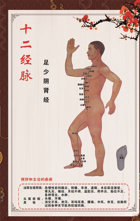 足少阴肾经