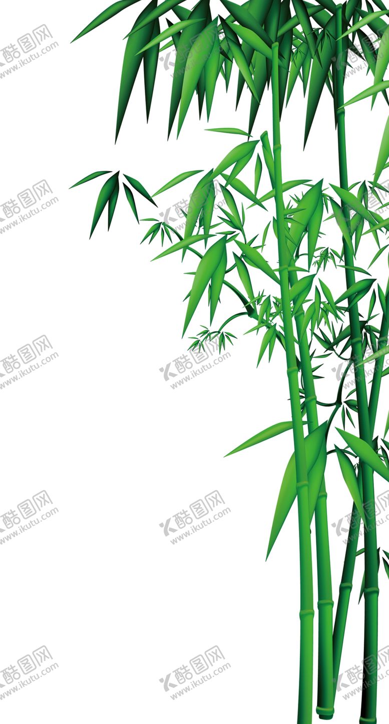 编号：28384810261853408521【酷图网】源文件下载-竹子