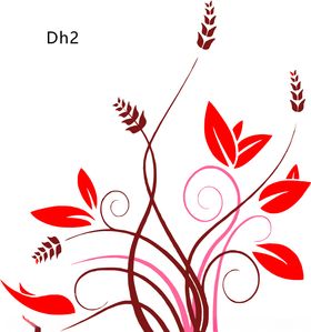 硅藻泥单花图片