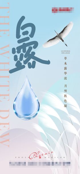 大气地产白露节气海报