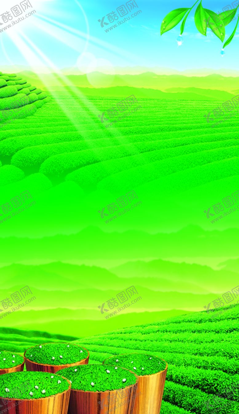 编号：33164105160512146844【酷图网】源文件下载-茶叶