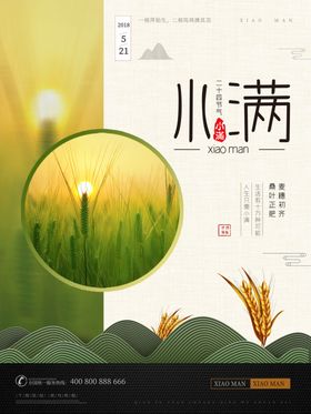 小满海报节气二十四节气