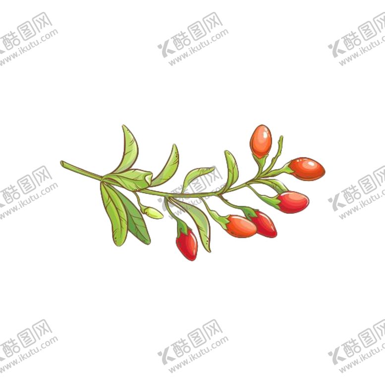 编号：50482407140511185308【酷图网】源文件下载-手绘枸杞