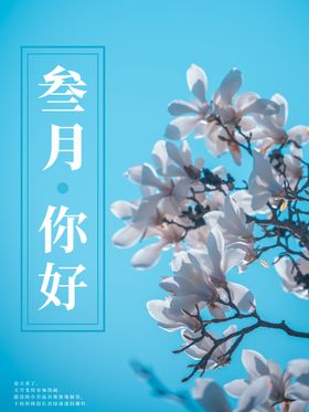 春天海报 3月你好 春暖花开 