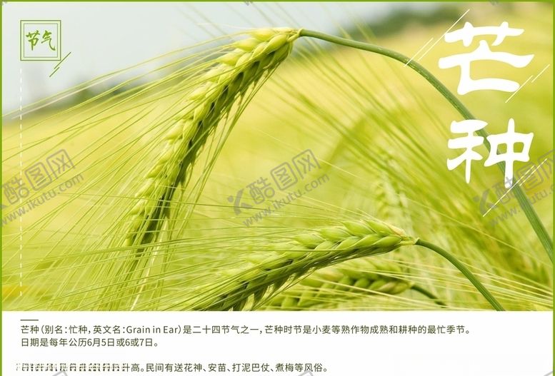 编号：70326910081213529632【酷图网】源文件下载-芒种