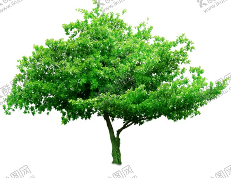 编号：70733610130650258198【酷图网】源文件下载-绿色装饰