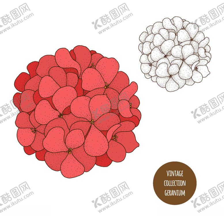编号：68590910272125415692【酷图网】源文件下载-植物线稿