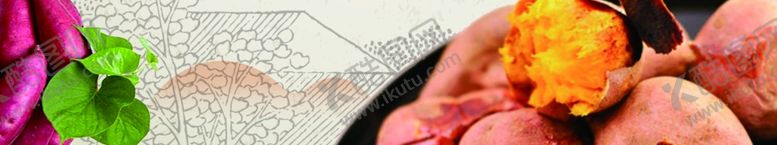 编号：64297407040450041489【酷图网】源文件下载-烤红薯门头