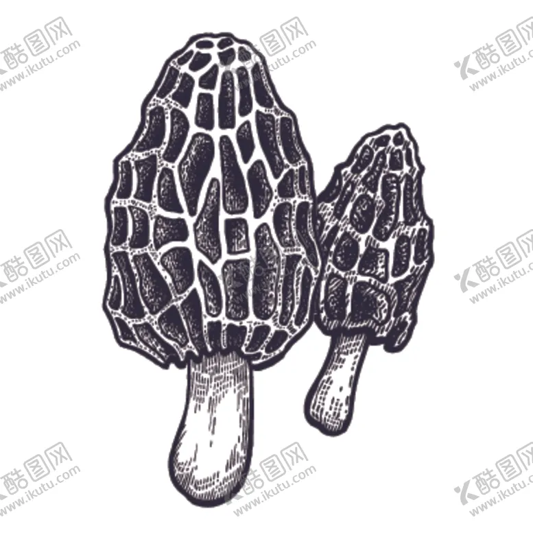 编号：49514006251723232319【酷图网】源文件下载-餐饮食物插画元素