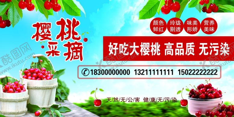 编号：11802002241154005129【酷图网】源文件下载-樱桃采摘